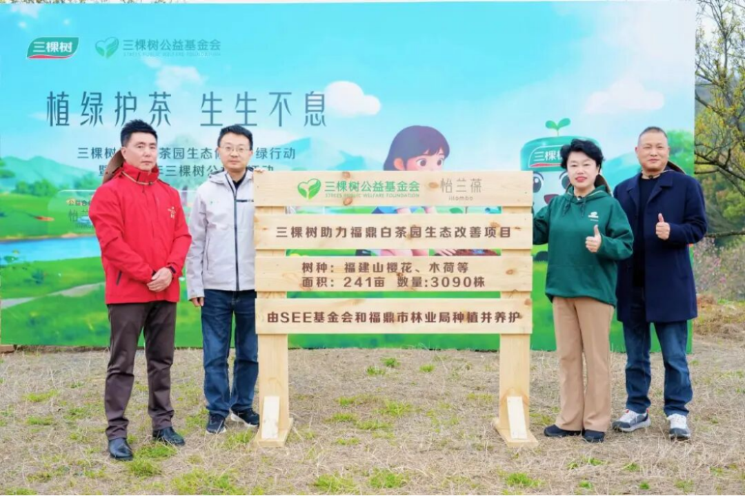 三棵樹(shù)福鼎白茶園生態(tài)修復(fù)行動(dòng)561